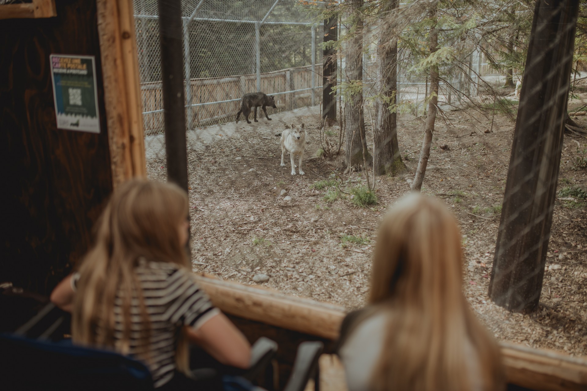 Dormir avec les loups