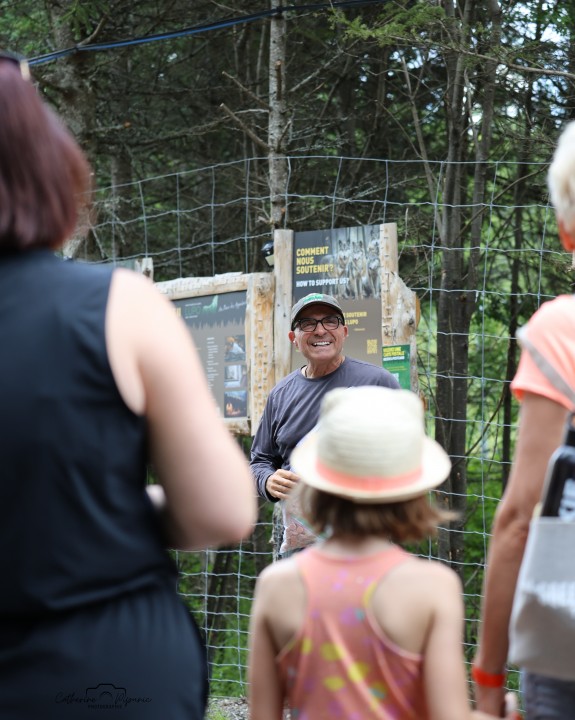 Fan de loups : Tour vip et tour guidé