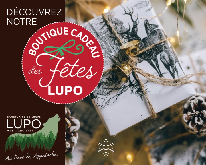 Certificat cadeau lupo