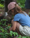 Tour guidé: Plante comestible du sanctuaire LUPO